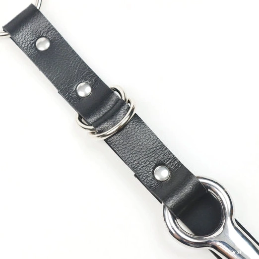 Hook Kinky with Leash Collar EverydayUse 5853 and Anal 1008
